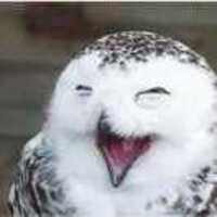 680bff2228147b508749822a927d0b9856b7c1b8