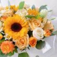 Decb4c2c5347aef4390f99e8cc1258068f6ea810