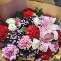 F19d8060095ce0eab8cfef4c88c1f99e1313b144