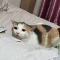 4fefca5bc9789a177eeaa8d98f2ee25220160a01