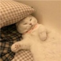 Df5f883925f91a4269c07a51536c3a7e9b3e0d58