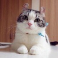 71f7b9815a41fa9057c5b1505853691245f49804