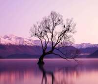 E6ab91e7898ca899005ad780ca43653d6412cfdf