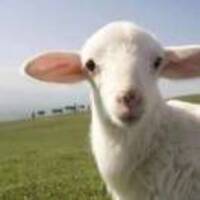 91d6c620f7b7dc8f74fce98bb1c0bc9c693ba85e