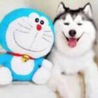 96cc10e9e1e8856b84713edd6a19ab1d242a1e5c