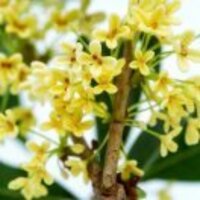 C0e1a58db21a64540dd85131774d2443b841d16e