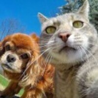 1ab0216e315af37e1dd8c1d949b892e9cbbf8b19