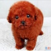 C3cbafd2f6ad19021ba69ca4cd86b14d42216477