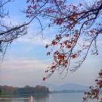 0f4f8dc7c90ee83c59882f66611b7e463d344c47