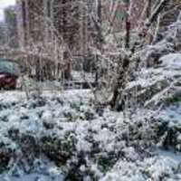 D11109e9059b8313a226f52a099f4edcc7acf30a