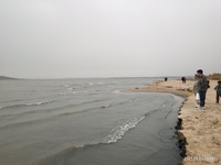 26b2aff26c711d4015131125302c2749b19898ba