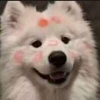 B8c3907015d57e26a8163ae4d960c3df7e643028