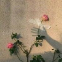 Bd13d1f0c1442fd52e96aff80c1db2387fe667d0