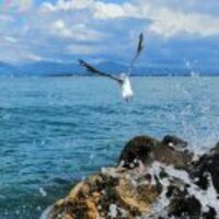 3afc31f25edb814749969ea7e909276c5b59c350