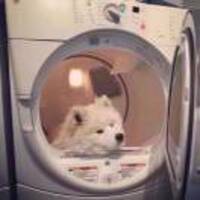 464270214ae821087b4d83ff4a2562e45f1d9ca8