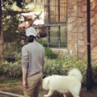 B0bb99266acb0c80dbaef2f3365b2284251a90a5