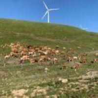 5f44dc0023d717b881771b3abbbfe62e0fe39d34