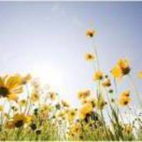 Cf3b329eaef17c961f5b131ff12d8c0f64ae810d