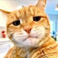 Fc12fd0b60337c4a3ebc5d58414f52c18d852ded