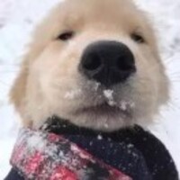 06c66e5c8518d3db9626db0191b08c87cff40eb8