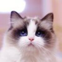 75043ff68b2f77efca38a64f2863d55d69486815