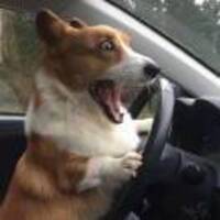 Bff57de3bf45d7816f78679d8adfd0a3ed06262c