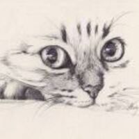 84f1019a10d92eb7ff8b747129d963f1f2109396