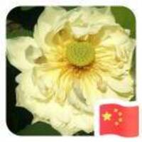 15896bd2daf5efd93c8c01ea766146d969629bdc