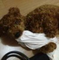 35f5d841fcdc0c6493d617fca91f12a0e9635a91