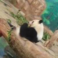 1d7361eca8c99eec520578508db094cd06fc4d6b