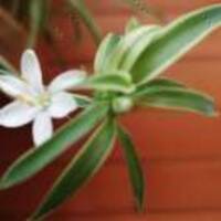 23681292c7ce30799e545ef29d221310e792c164