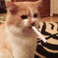 Dd1ca3cd6281645cab624fd5c687ffba57ec878a