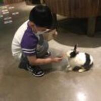 Fc8159ff9a136d64bdcd4f18c87b6d70d2912dd7