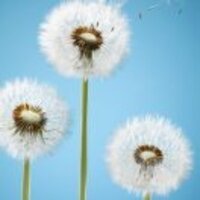 51ad1198ff0a55140a94b97aa4c4a8f81d1aa204