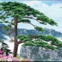 A1944c6bf419905c3cba542820af7cffb78f865b