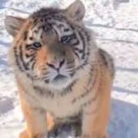 2f971f5311cc5593d8b73b5394ea30bc5b3cebca