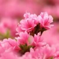 53f056a271f85d04d3daca53e83e139bc1f8bf1b