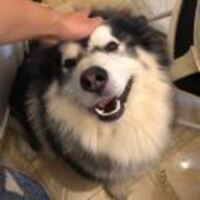 5fd46f5f622bdd0178ded89dedad844ed53d0492