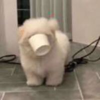 3189366abed4f530cddccbd6ddc9fdb5e8c1f21a