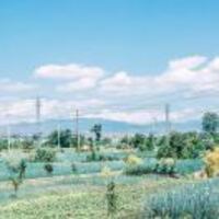 Cdfb263ed5c3ecb0b44efe3c48fb9149b5af6e7f