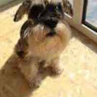 Ff65cdae860fa7d802e0d1df07ebd636bd5ee118