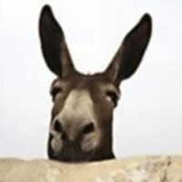 Fcc9b80e7deaf55436daa5f790ae3feaab2a9b56