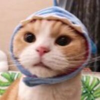 Bc44af9076628eb36149949b2b80c917f79ceb62