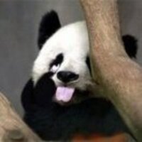 02bc6726f4e2dae3c9ccffaddcdc6ae94b46d6ff