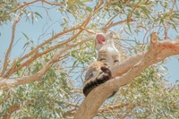 60f5f5ca3f39cc9aa170bfb91bf92b277676be08