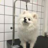 91989918df9a476c88d73368a146ac927312db8a