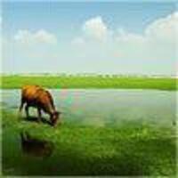 88ca3a2899786bfa647f7bed9cff659a60869703