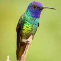 Ed30e34fe1ca2c7af0381a23548a172563bc80c4