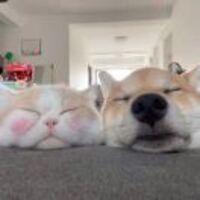 3640d1bd8b2eda05196337954d3a9aba01a3794f