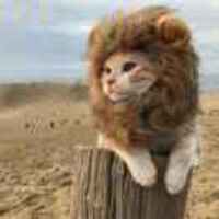 Ba9eeaf881f7e598d750dae8e16f5561e68270c4